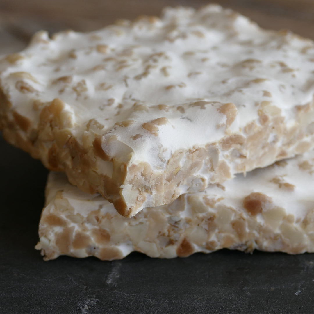 Image of fresh peanut-almond tempeh made in the Planit Pod
