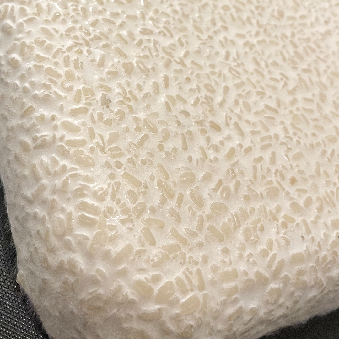 Ivory Lentils, 2.75Lb bag (single batch)