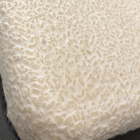 Ivory Lentils, 2.75Lb bag (single batch)