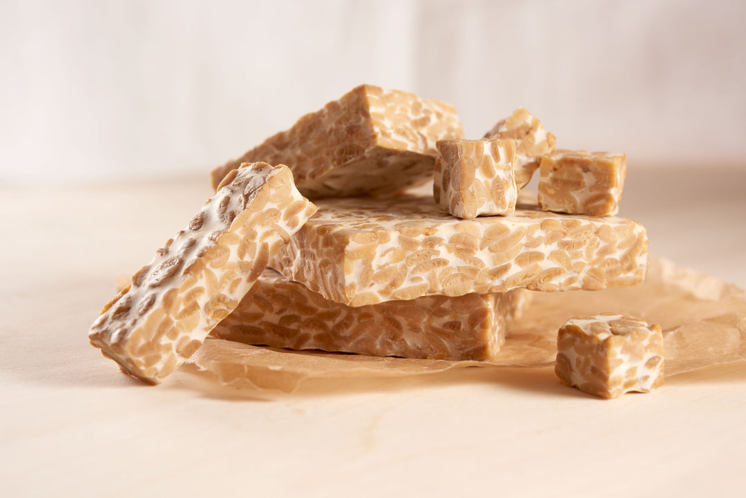Fresh tempeh slabs fermented in Planit Pod system