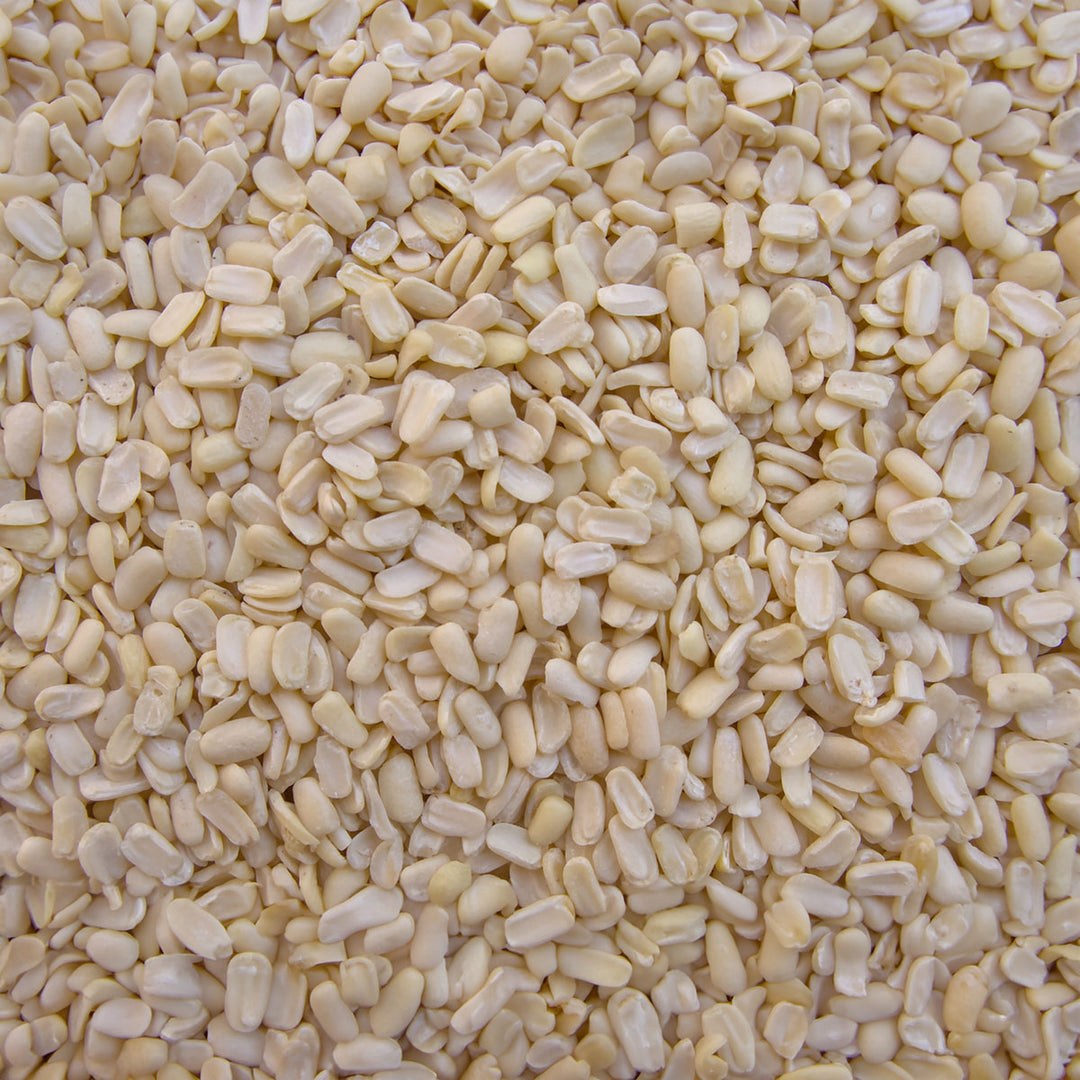 Ivory Lentils, 2.75Lb bag (single batch)