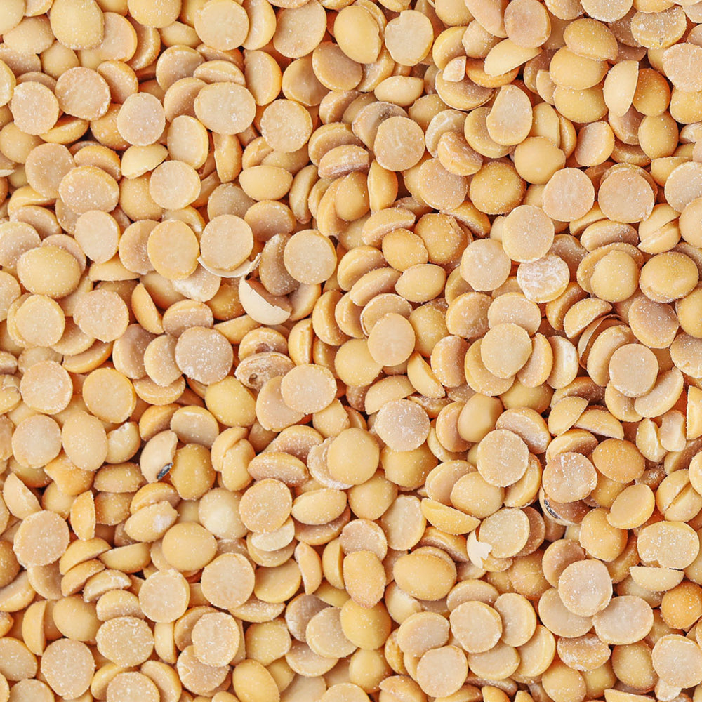 Roasted Organic Chickpeas